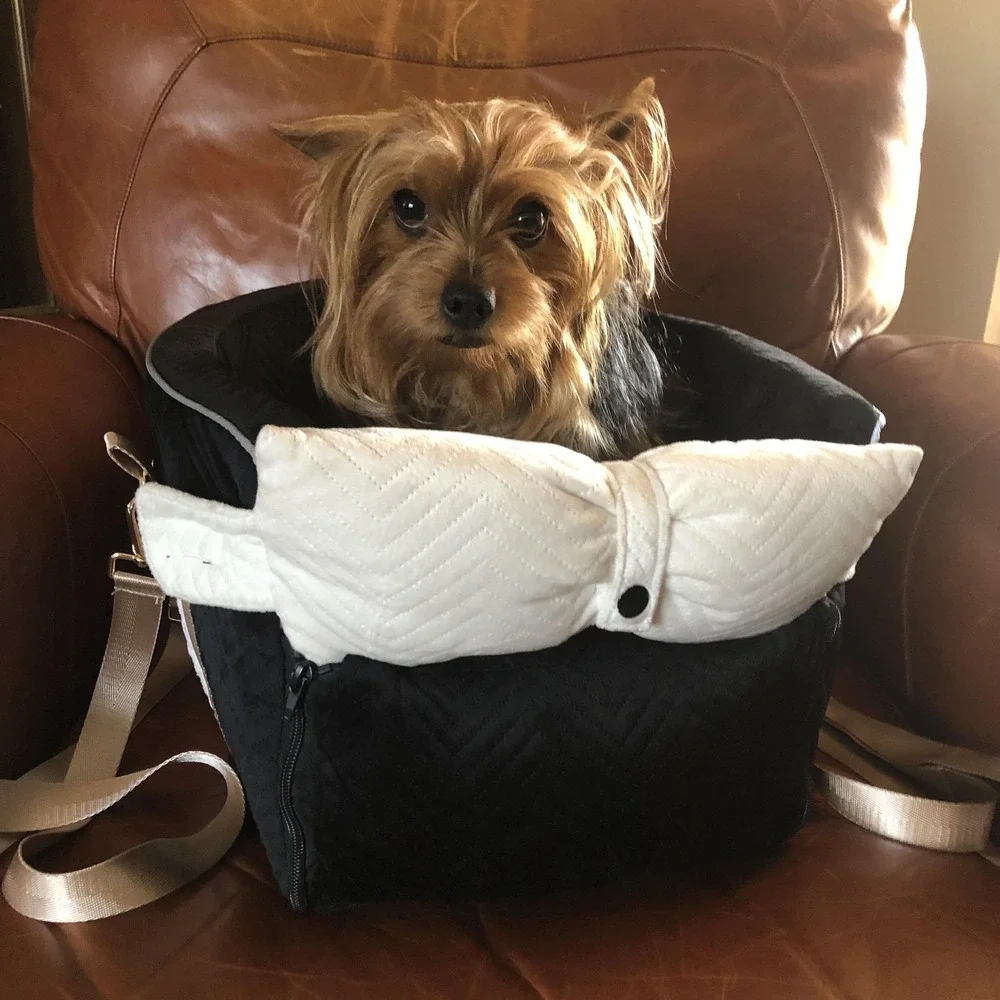 Small Dog Car Seat Booster Carrier Plush Black Velour Bow Tether Straps Non-Slip